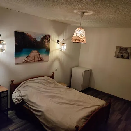 Grande Cosy Avec Salle De Bain Privative Homestay *